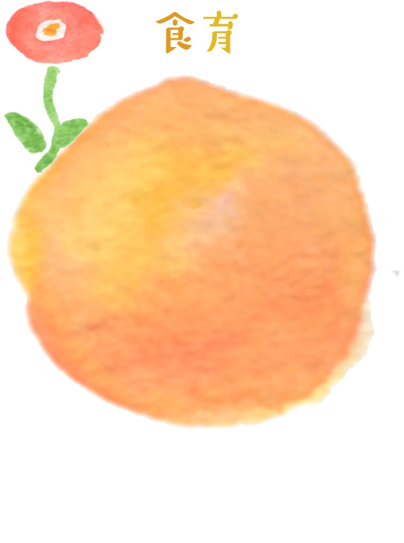 食育