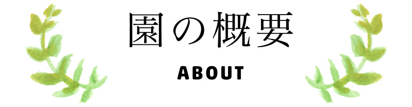 園の概要