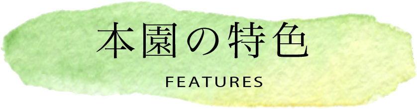 お悩み相談